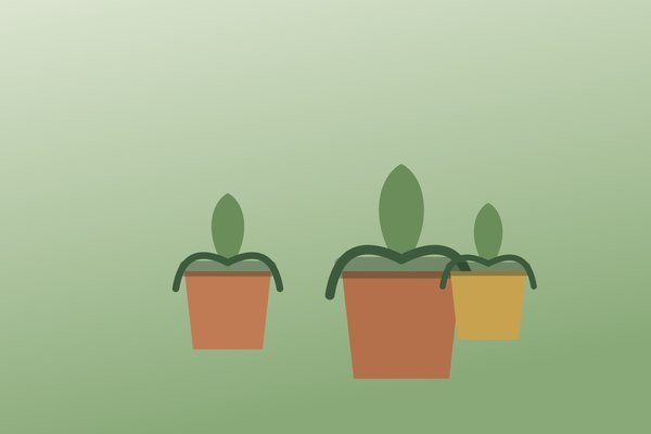 プランター鉢 / Planter pots
